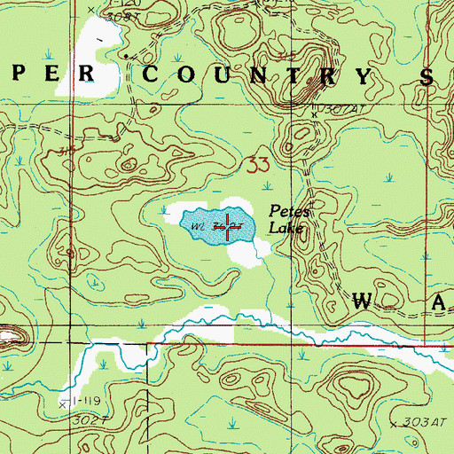 Topographic Map of Petes Lake, MI