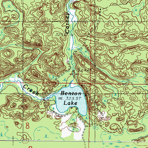 Topographic Map of Carney Lake Outlet, MI