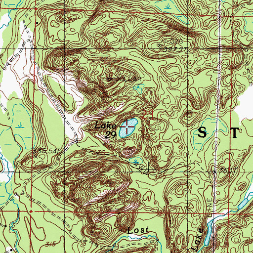 Topographic Map of Lake Twentynine, MI