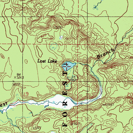 Topographic Map of Lost Lake, MI
