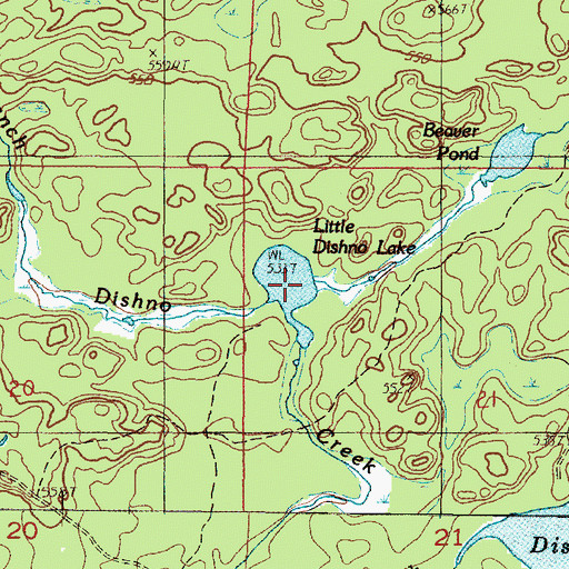 Topographic Map of Little Dishno Lake, MI