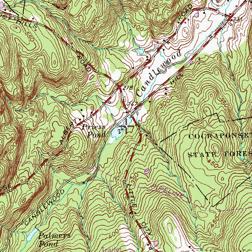Topographic Map of Priess Pond, CT