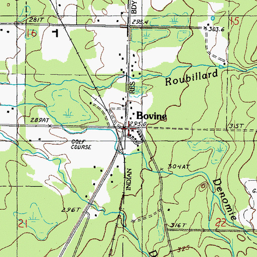 Topographic Map of Bovine, MI