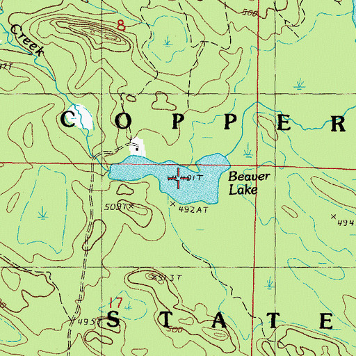 Topographic Map of Beaver Lake, MI