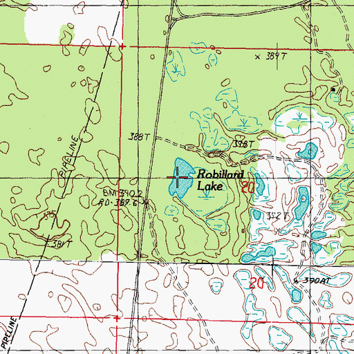 Topographic Map of Robillard Lake, MI