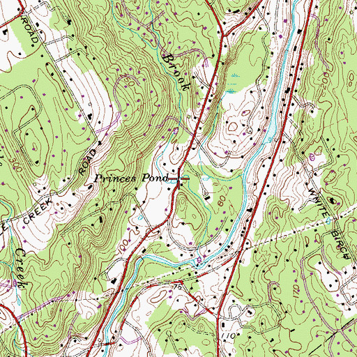Topographic Map of Princes Pond, CT