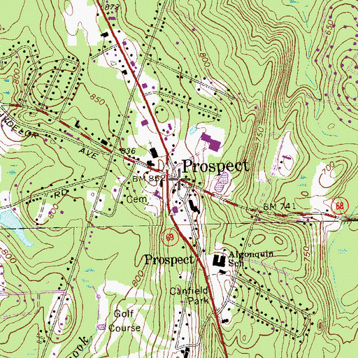 Topographic Map of Prospect, CT