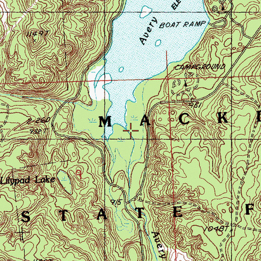 Topographic Map of Avery Creek, MI