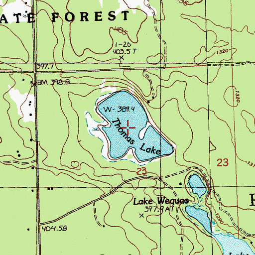 Topographic Map of Thomas Lake, MI