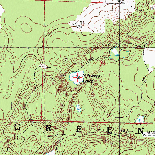Topographic Map of Sylvester Lake, MI