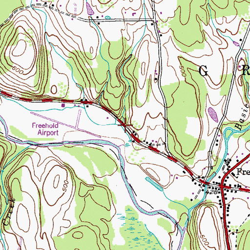 Topographic Map of Burroughs Creek, NY