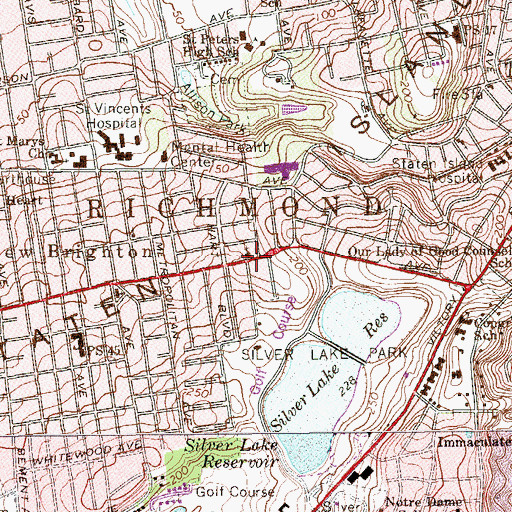 Topographic Map of Temple Israel, NY
