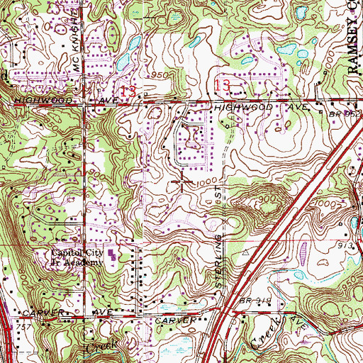 Topographic Map of Pleasantview Park, MN