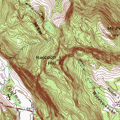 Topographic Map of Raccoon Hill, CT