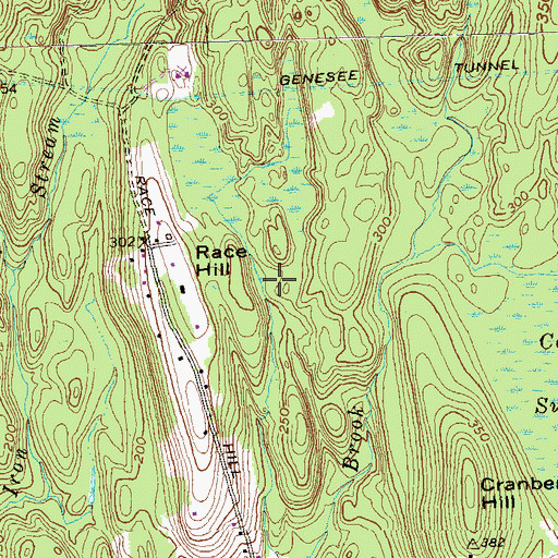 Topographic Map of Race Hill, CT