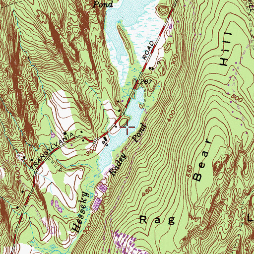 Topographic Map of Radey Pond, CT