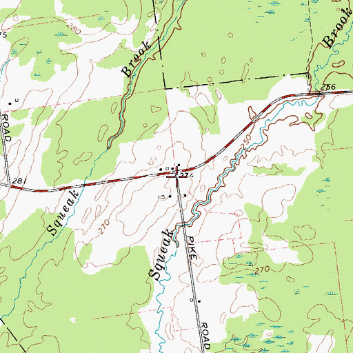 Topographic Map of School Number 16 (historical), NY