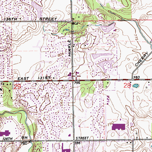 Topographic Map of Carmel Lutheran Church, IN