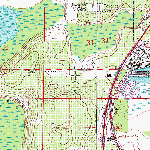 Topographic Map of Lake County Library Services, FL