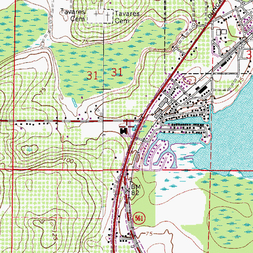 Topographic Map of Lake County Agricultural Center, FL