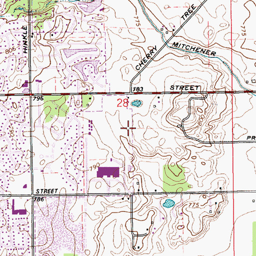 Topographic Map of Mark Badger Park, IN
