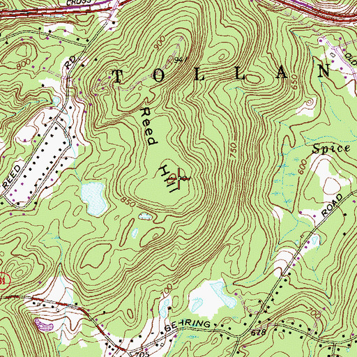 Topographic Map of Reed Hill, CT