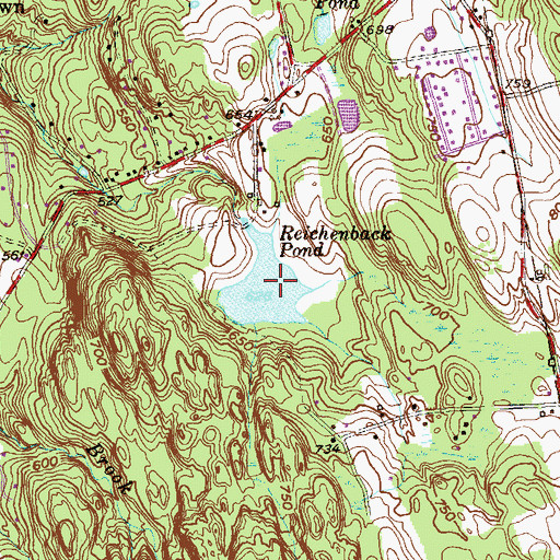 Topographic Map of Reichenback Pond, CT