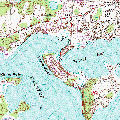 Topographic Map of Halsted Bay Bridge, MN