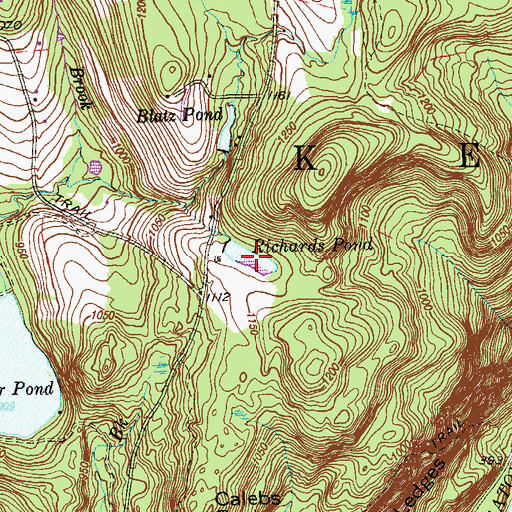 Topographic Map of Richards Pond, CT