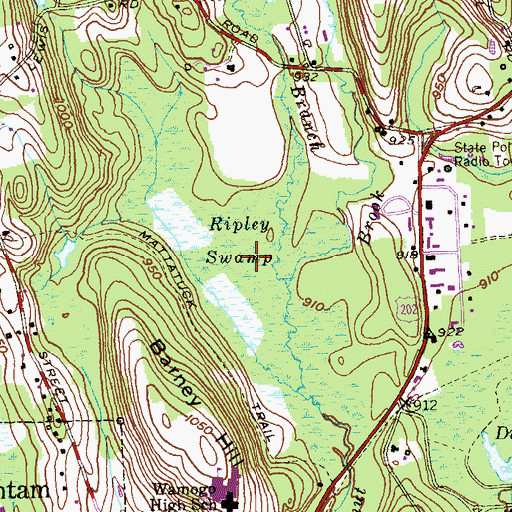Topographic Map of Ripley Swamp, CT