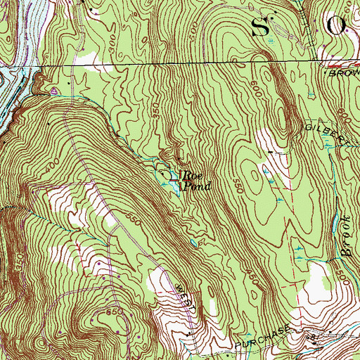 Topographic Map of Roe Pond, CT