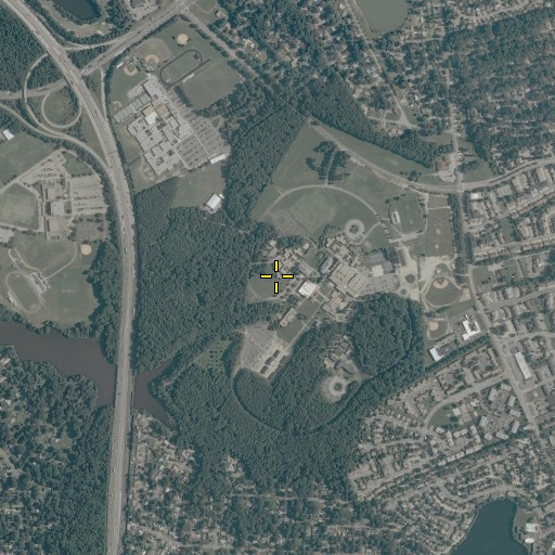 Aerial/Satellite Image of Birdsong Hall, VA