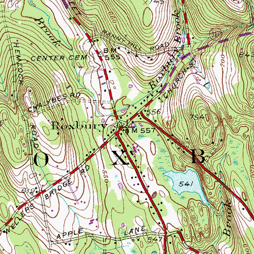 Topographic Map of Roxbury, CT