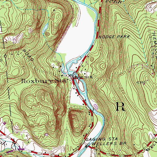 Topographic Map of Roxbury Station, CT