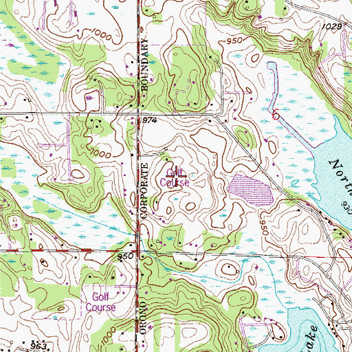 Topographic Map of Lakeview Golf Course, MN