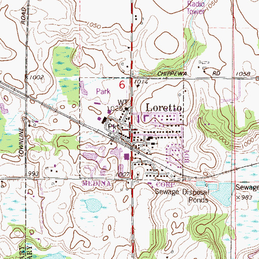 Topographic Map of Loretto City Hall, MN