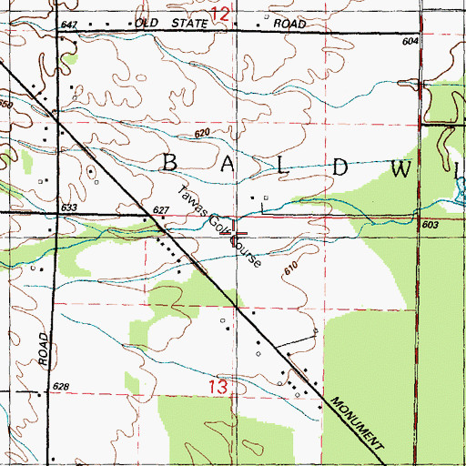 Topographic Map of Tawas Creek Golf Club, MI