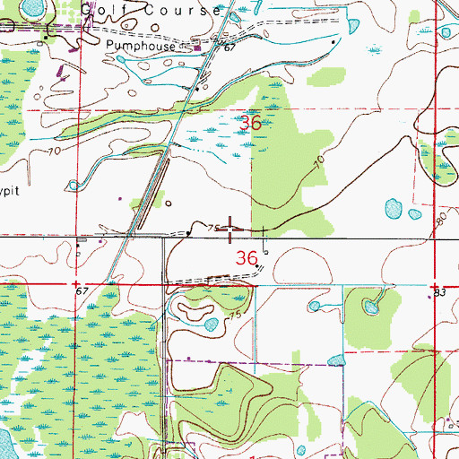 Topographic Map of Alee Academy, FL