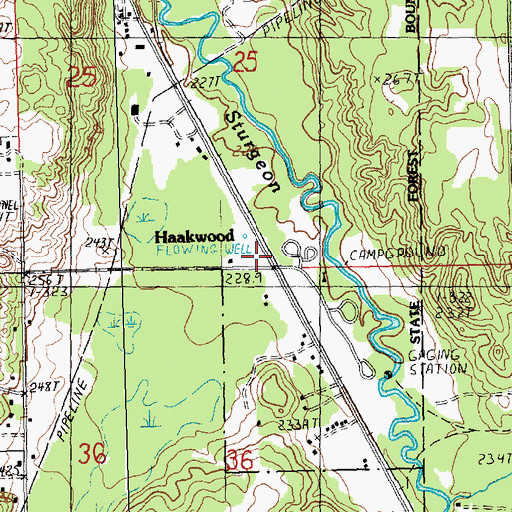 Topographic Map of Haakwood (historical), MI