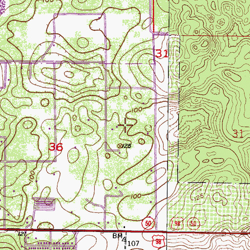 Topographic Map of New Apostolic Church, FL