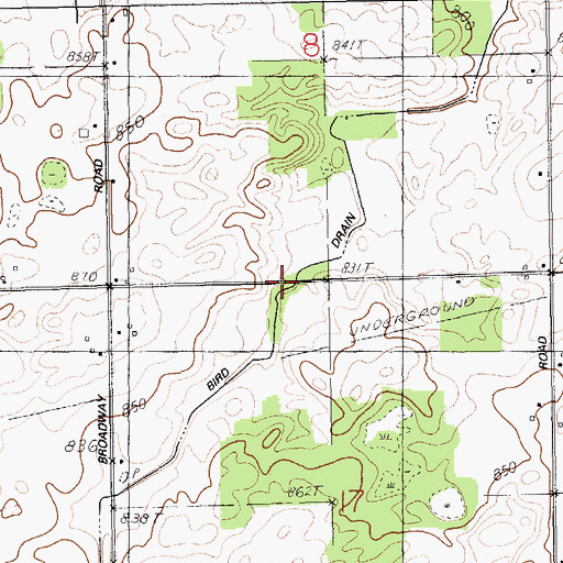 Topographic Map of Bird Drain, MI