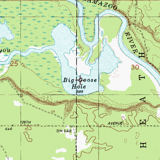 Topographic Map of Big Goose Lake, MI
