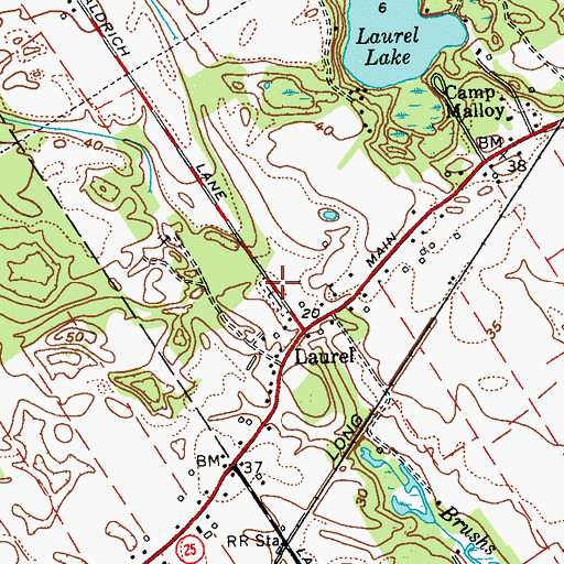 Topographic Map of Laurel Cemetery, NY