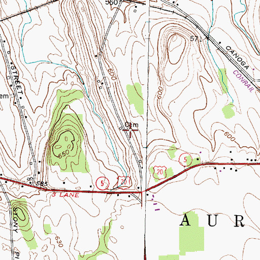 Topographic Map of Cowan - Farnum Cemetery, NY