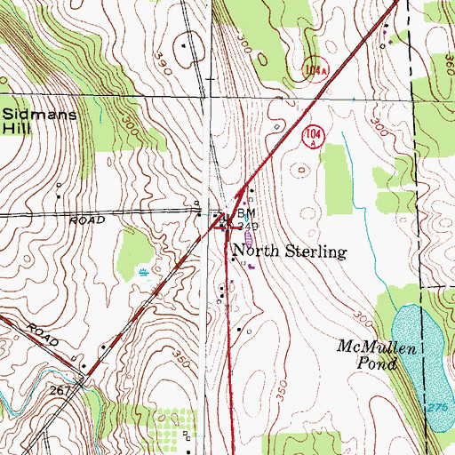 Topographic Map of School Number 11 (historical), NY