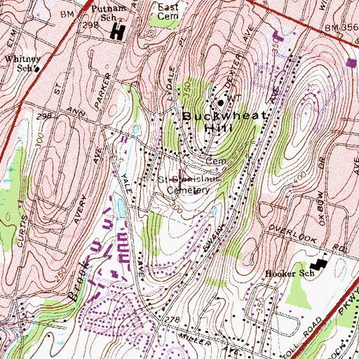 Topographic Map of Saint Stanislaus Cemetery, CT
