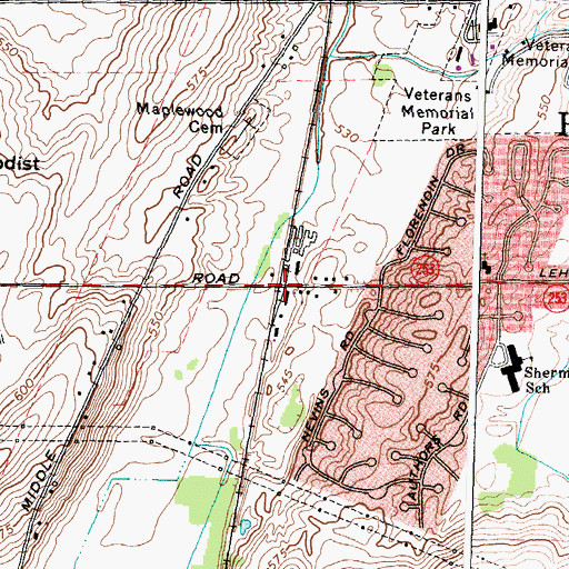 Topographic Map of Henrietta Station, NY