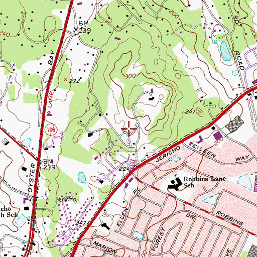 Topographic Map of Locust Grove, NY