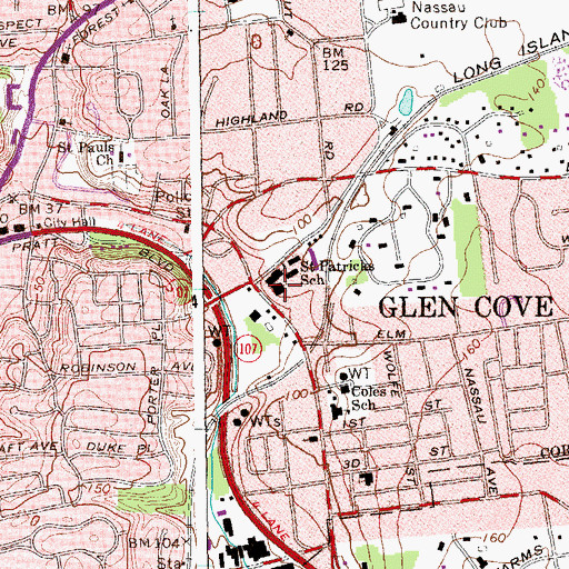 Topographic Map of Saint Patrick Roman Catholic Church, NY