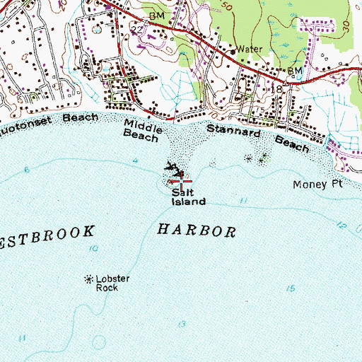 Topographic Map of Salt Island, CT
